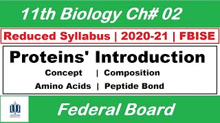 Proteins Concept Composition of Proteins Peptide bond formation Class 11 Biology [upl. by Rowen]