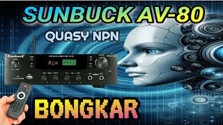 SUNBUCK AV80 Amplifier 300 Watt [upl. by Neelyak]