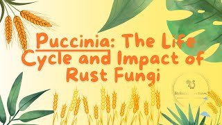 Puccinia The Devastating Plant Pathogen [upl. by Vikki]