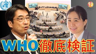 36 19時〜【生配信】WHO議事録で判明！ルール破りの改正に加盟国も怒る 林千勝先生インタビュー [upl. by Nakeber]