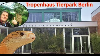 The reopened tropical house in Tierpark Berlin [upl. by Otto]