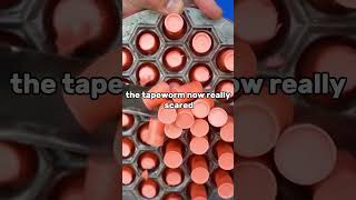 The tapeworm in fear viralvideo funny jokes funnyvideo plot [upl. by Brader]