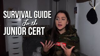 How to Study for the Junior Cert amp Leaving Cert [upl. by On98]