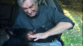 RFK Jr dumped a dead bear in Central Park [upl. by Osher]