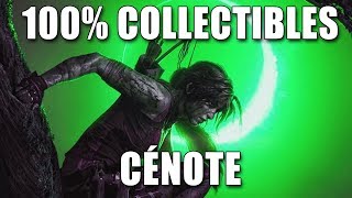 SHADOW OF THE TOMB RAIDER  100 CÉNOTE Défis Tombeaux Documents Reliques Caches [upl. by Nnylrats]