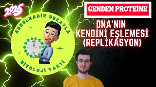 Genden Proteine  DNA’nın Kendini Eşlemesi Replikasyon 12 Sınıf AYT BİYOLOJİSİ [upl. by Helsa]