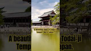 A beautiful pond at Todaiji Temple NaraJapan🇯🇵 todaiji temple deerpark shorts [upl. by Dlonra]