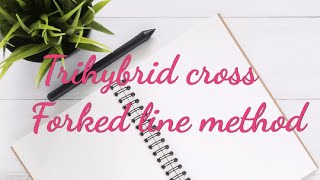 Trihybrid cross Forked line method [upl. by Tosch974]