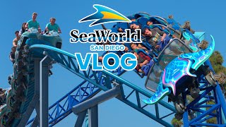 Riding SeaWorld San Diegos Newest Roller Coaster Summer 2024 Vlog [upl. by Noteloc498]