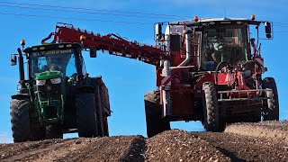 Lifting Tatties 2024 Grimme Varitron 220 PLATINUM [upl. by Nena]