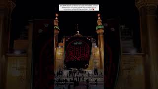 Martyrdom anniversary of syeda bibi fatima zehra sa hussain karbala dunya hussainhaidry yazehra [upl. by Bathsheba]