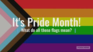 What do LGBTQ Pride flags mean [upl. by Moberg838]