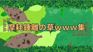 【総集編】摩耗鍾離の草www集① [upl. by Pittman]