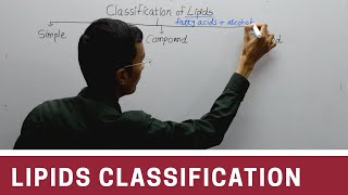 Classification of Lipids [upl. by Anaerdna]