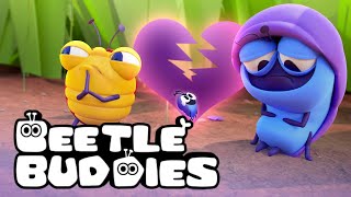 BEETLE BUDDIES in quotBed Bitesquot and more🪲🐛🐞  Cartoon Compilation [upl. by Meehyr]