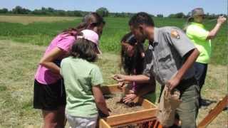 Archeologists  Career Spotlight [upl. by Pendleton]