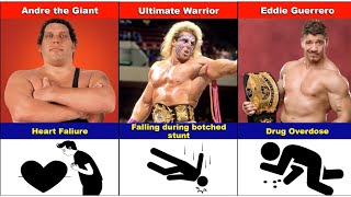 WWE Wrestlers Death  Unusual Deaths of WWE Wrestlers [upl. by Ykcul]