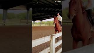 STURUP LESS 😝 fypシ゚ fypシ゚viral slay equestrian areee [upl. by Enaira]