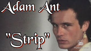 Adam Ant Strip [upl. by Hardie25]