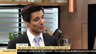 Så gick det för småpartierna i riksdagsvalet  Nyhetsmorgon TV4 [upl. by Eibrab408]