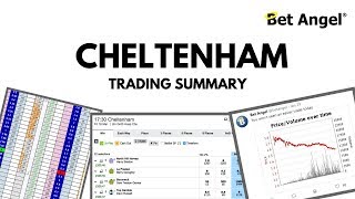 Peter Webb Bet Angel  Cheltenham trading summary [upl. by Annahsad]