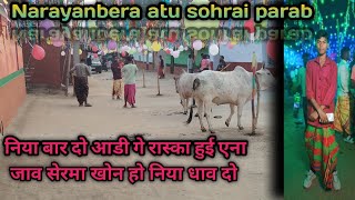 ALE ATU SOHRAI PARAVB AT NARAYANBERA FULL KHUNTAW VIDEO 2024 SANTHALI CULTURAL [upl. by Akalam]