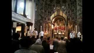 KYRIE Pontifical Traditional Latin Mass Cardinal Burke AMSTERDAM FSSP [upl. by Rachaba]