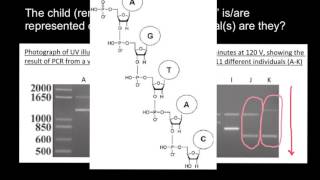 How to understand Gel Electrophoresis results 5 [upl. by Azaleah]