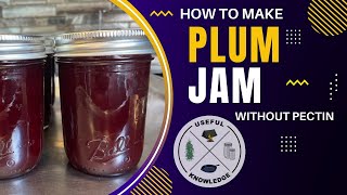 Plum Jam  Useful Knowledge [upl. by Rama313]