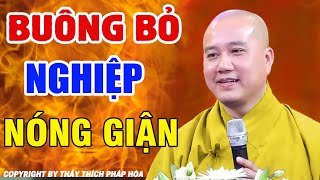 Buông Bỏ NGHIỆP NÓNG Giận  Thầy Thích Pháp Hòa [upl. by Anairo79]