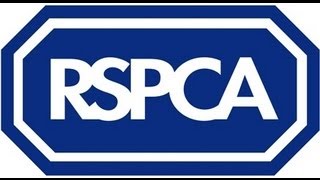 RSPCA Video montage of trainee inspectors course [upl. by Jeb680]