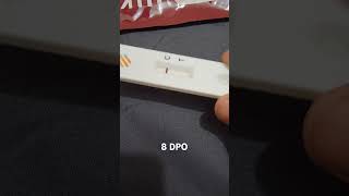 TTC 1  8 DPO  Pregnancy kit  HCG test  16 Sept 2024  Negative  Baby Bump [upl. by Mieka650]