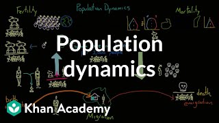 Population dynamics  Society and Culture  MCAT  Khan Academy [upl. by Sairtemed]