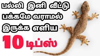 👍 100 பல்லி இனி வீட்டு பக்கமே வராமல் இருக்க எளிய 10 டிப்ஸ்palli varamal erukka tipsrasi tips [upl. by Anrehs]