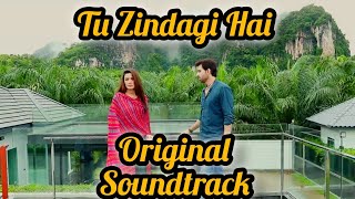 Tu Zindagi Hai  OST  Kiran Haq  Taifoor Khan  PTV Home [upl. by Delbert]