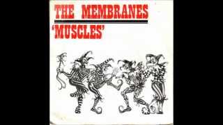 The Membranes  quotMuscles EPquot 1981 [upl. by Akerahs]