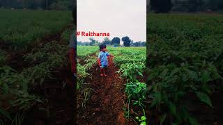 Raithanna farmer agriculture villagelife trendingshorts [upl. by Abram638]