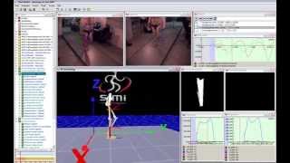 Gait Analysis with Force Plate in Simi Motion 3D [upl. by Aralk597]