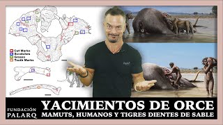 ¿Cómo Vivieron los Primeros Humanos en Europa El Misterio de los Yacimientos de Orce [upl. by Wera]