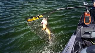 Fishing HUGE Crappies on the Chippewa Flowage in Wisconsin [upl. by Tegan]