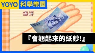 【會翹起來的紙鈔！】YOYO科學樂園｜第19季 第73集｜香蕉哥哥｜科學｜知識｜兒童節目 [upl. by Ojoj]