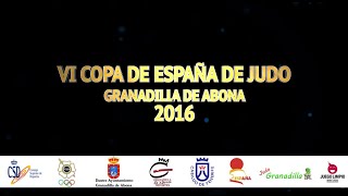 VI Copa de España de Judo Granadilla [upl. by Ayhtin]