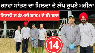 ਇਟਲੀ ਚ ਪਸ਼ੂ ਸਾਂਭਣ ਦਾ ਕੰਮ ਕਰਦੇ ਪੰਜਾਬੀ Dairy Farmer life Italy  Punjabi Travel Couple  Ripan Khushi [upl. by Ansela7]