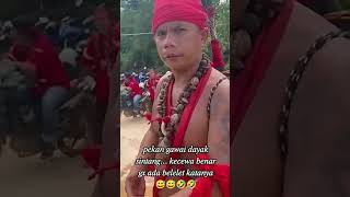 acara gawai Dayak Sintang lucu beranda dayak [upl. by Antons]