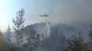 bomberos de chile forestales 2023 quinta concepcion [upl. by Ximena]