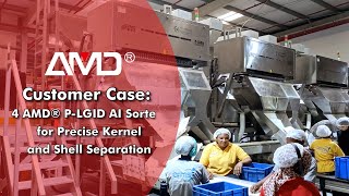 Customer Case 4 AMD® LGID AI Sorters for Precise Walnut Kernel and Shell Separation [upl. by Mickey]