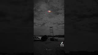 ٢٤ نوفمبر ٢٠٢٤ [upl. by Orms]