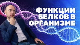 Каковы функции белков в организме Душкин объяснит [upl. by Atsev]