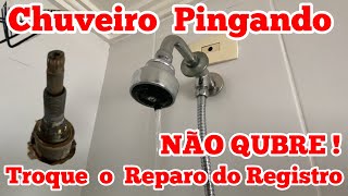 Registro de Chuveiro Vazando  NÃO QUEBRE A PAREDE [upl. by Nylarej]