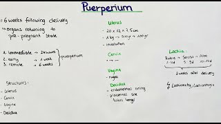 Puerperium  postpartum period Lochia Involution [upl. by Eloccin478]